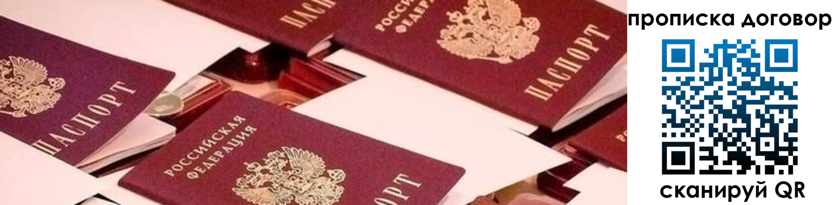 прописка 2025 в Краснозаводске
